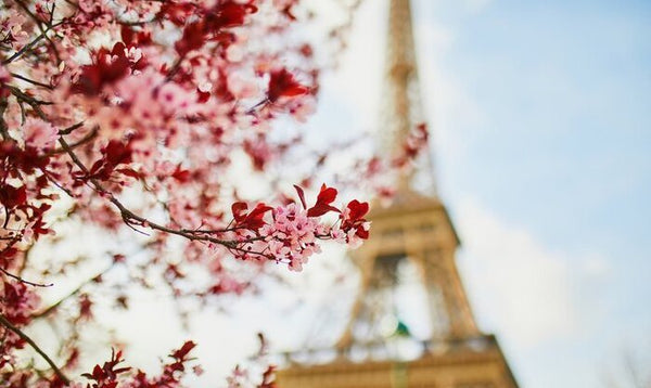 5 Spots in Paris that Skylence Fell in Love With
